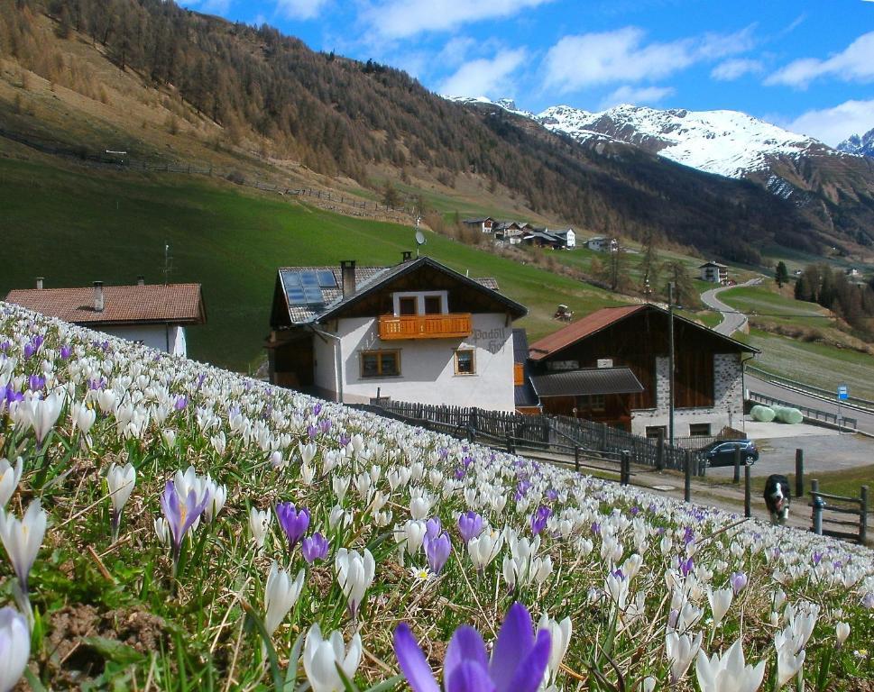 Padoellhof Villa Curon Venosta Kültér fotó